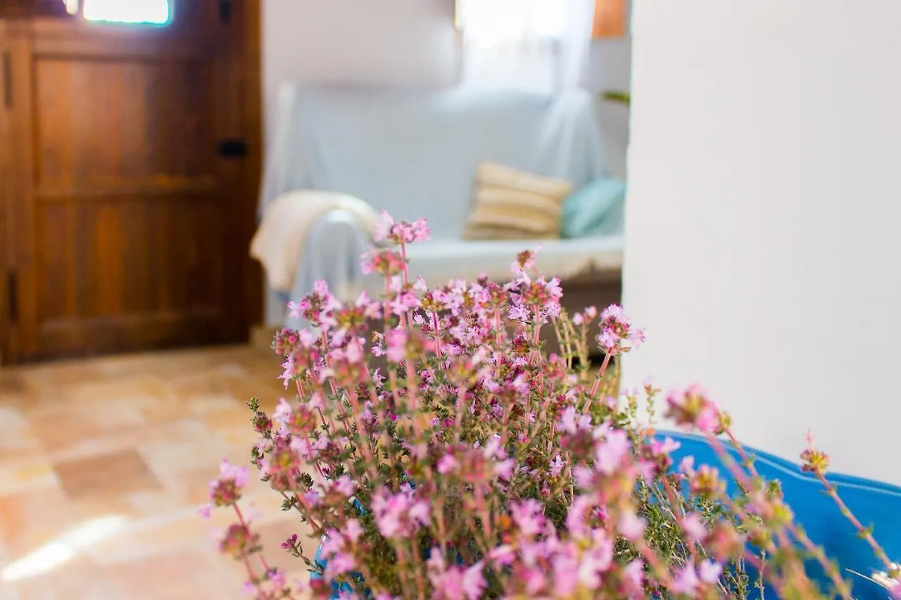 Villa Casa Maria Eusebia En Nijar 0*,  Spain